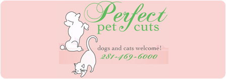 pet cuts